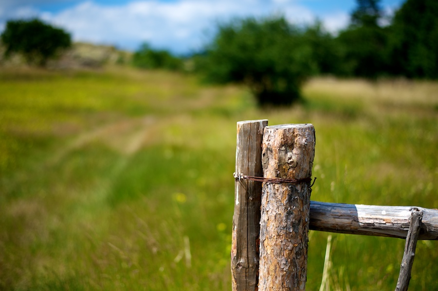 Детайл от ограда в природен парк Сините камъни край Сливен - Nikon D700 | AF-S Nikkor 50/1.8G @f/1.8