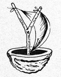 yovko in a nutshell logo